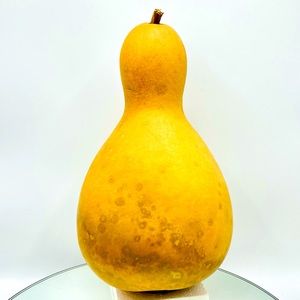 Clean Dried Natural Gourd 
ARTS & CRAFTS Project Ready ~ Birdhouse ~ Vase Vessel